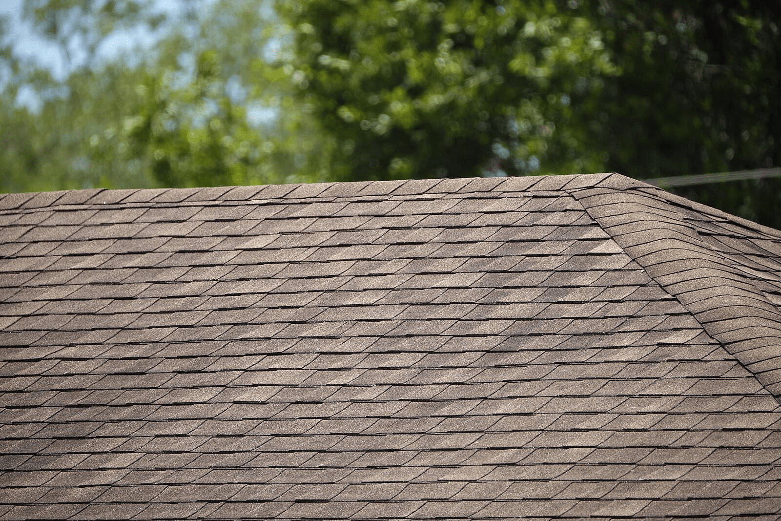 Title: Tar Roof Shingles: A Comprehensive Guide