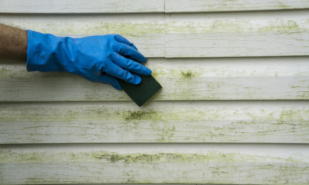 How To Clean Mold Off Vinyl Siding Safely: A Complete Guide
